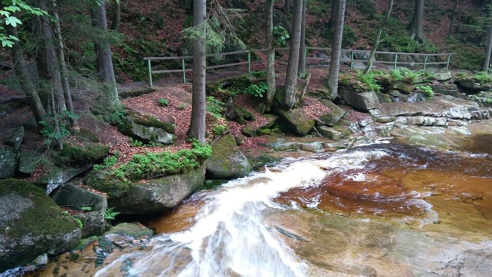 Ilustrační foto: Harrachov, příroda
